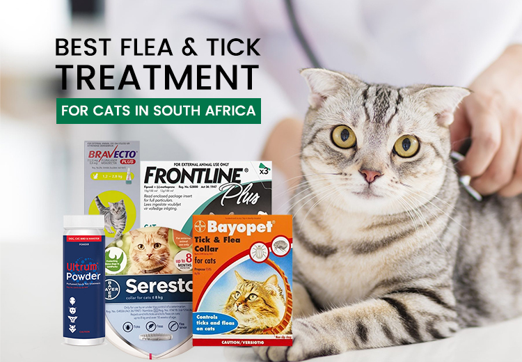 Best Flea & Tick Treatment for Cats