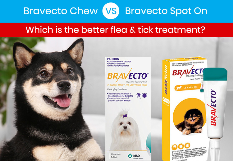 Bravecto Chew VS Bravecto Spot On