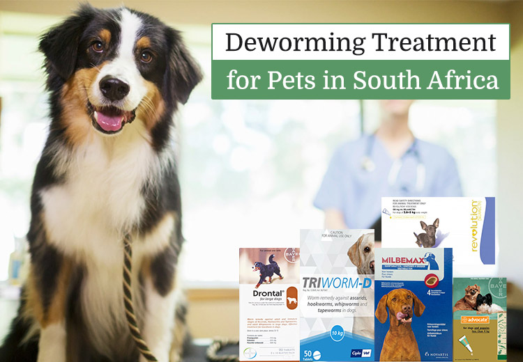 Best Deworming Treatment for Pets