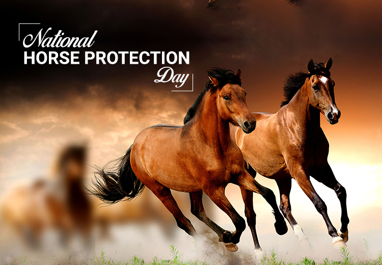 Horse Protection Day