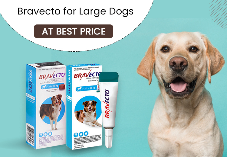 Bravecto for Dogs at Best Price in SA