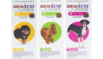 bravecto