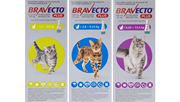 bravecto plus