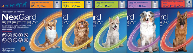 nexgard spectra