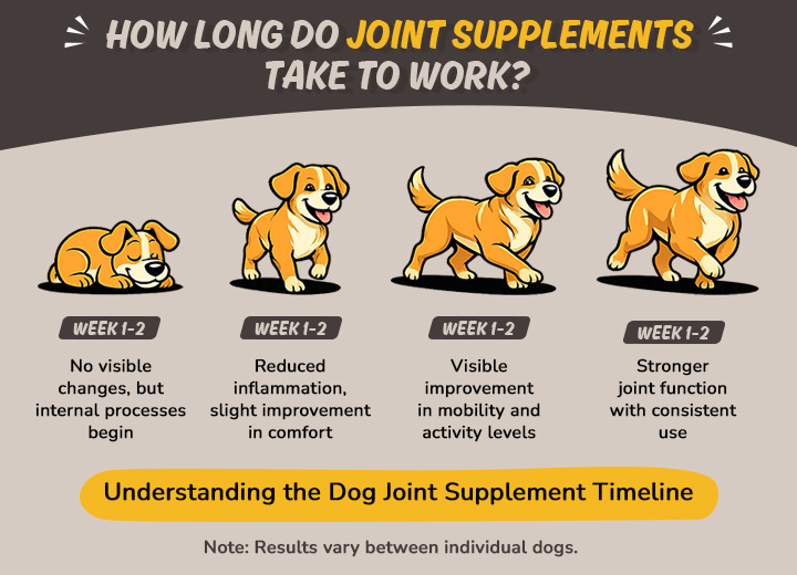 How Long Do Joint Supplements Take to Work?