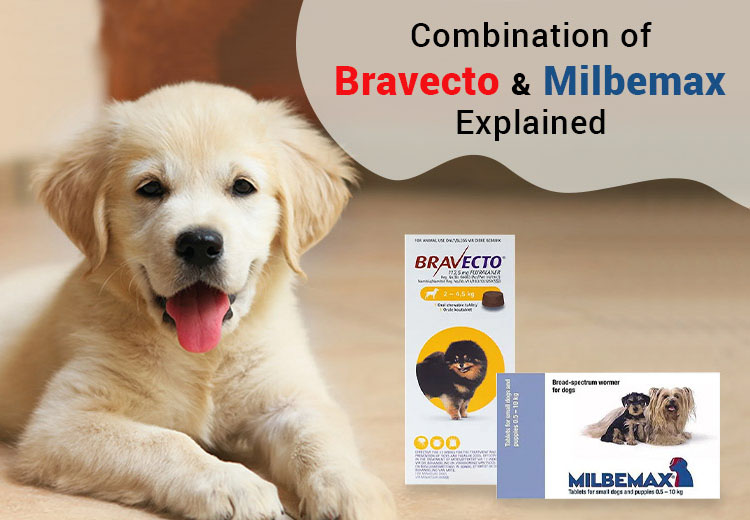 Can you give Milbemax and Bravecto at the same time?