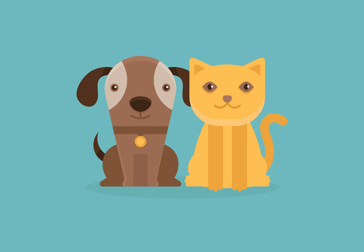 All About Worm in Dogs