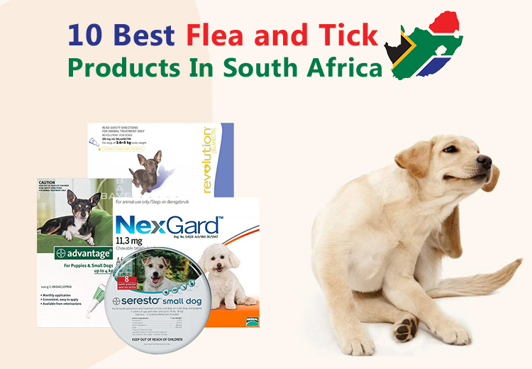 10 Best Flea and Tick Products In South Africa