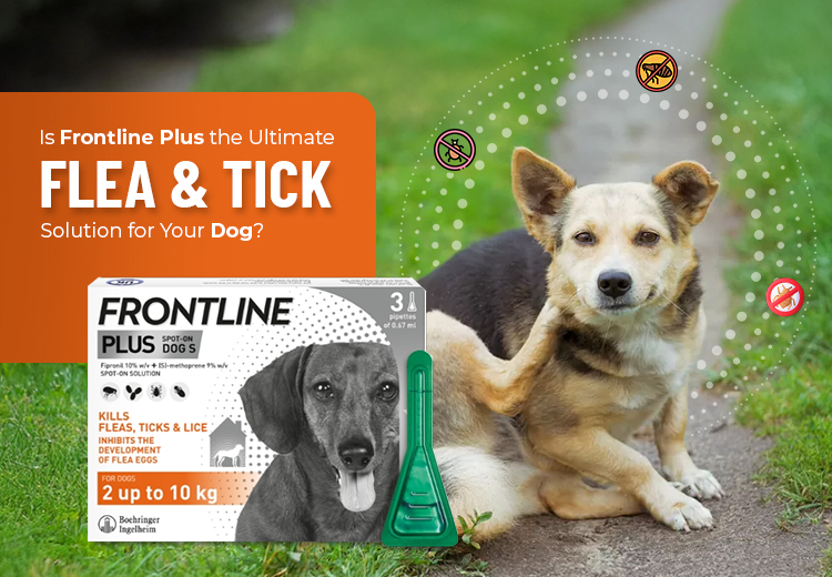 Frontline Plus for Dogs