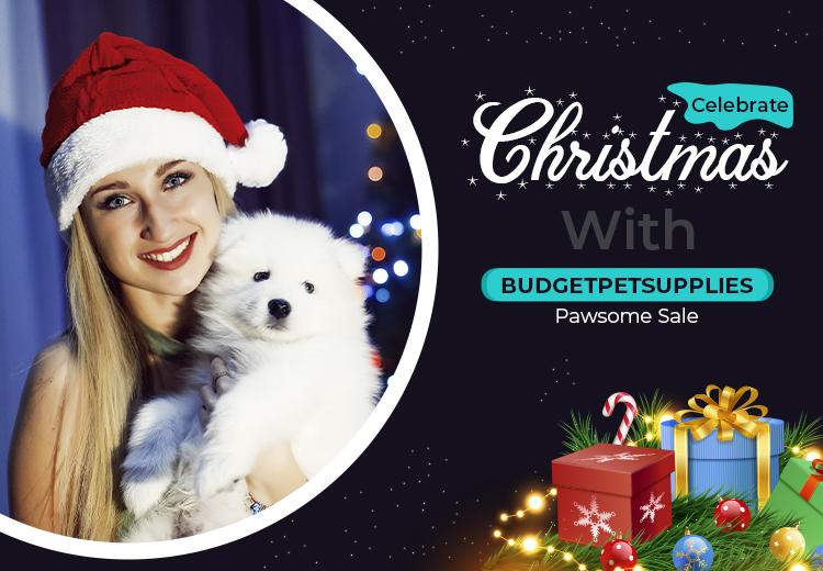 Christmas Sale