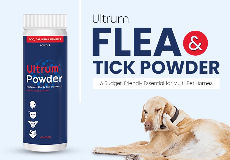 Ultrum Flea & Tick Powder
