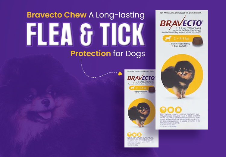 Bravecto Chew for Dogs