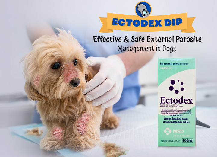 Ectodex Dip for Dogs
