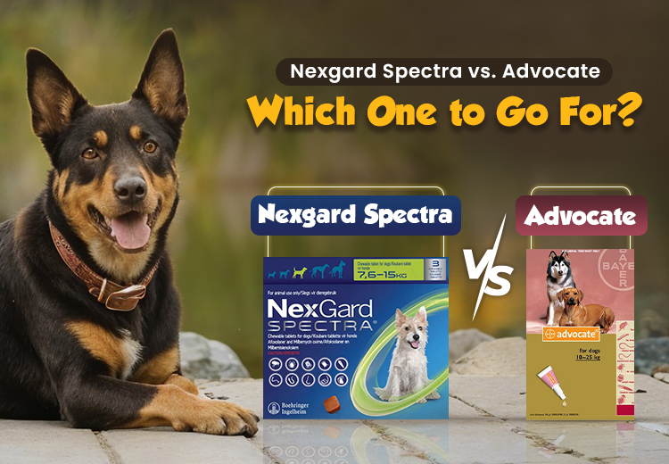 Nexgard Spectra vs Advocate