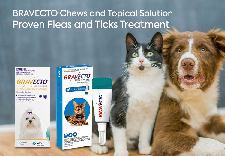 BRAVECTO Chews and Topical Solution: Proven Fleas and Ticks Treatment