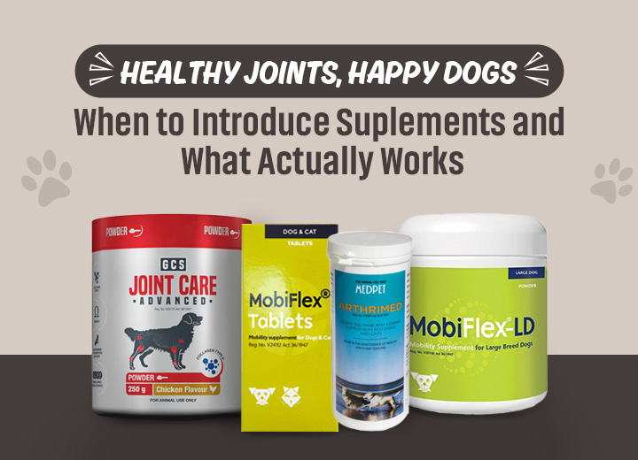 Best Joint Supplements for Dog