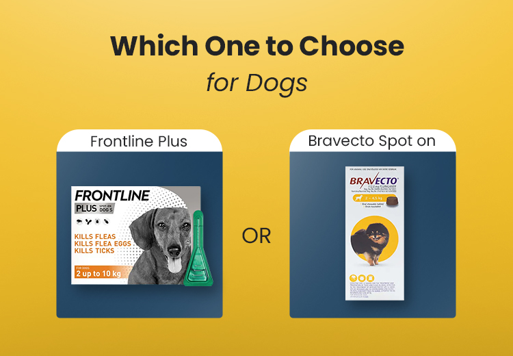 Frontline Plus vs. Bravecto Spot-On