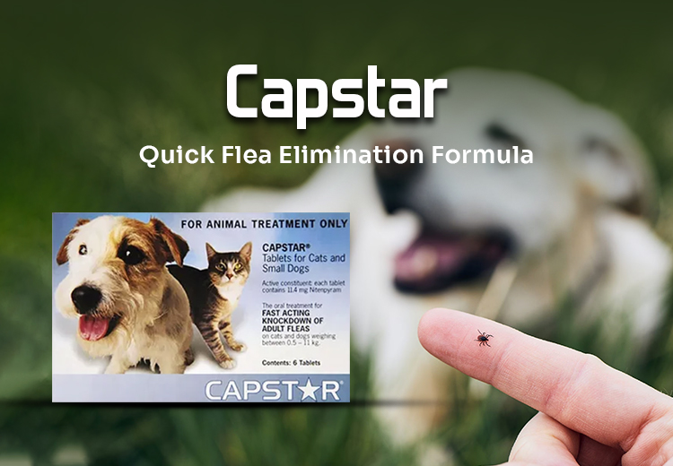 Capstar Quick Flea Elimination Formula