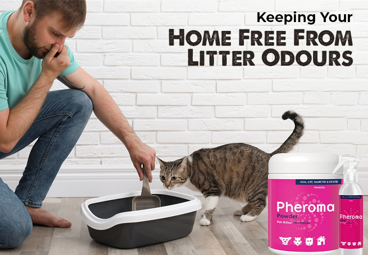 Discover the Best Cat & Dog Litter Odor Eliminators to Keep Your Home