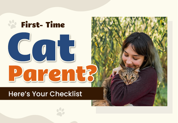 First-Time Cat Parent? Here’s Your Checklist