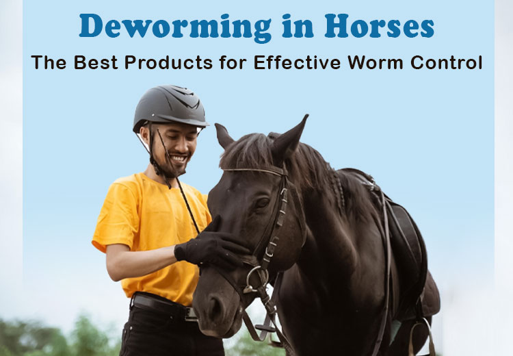 Deworming in Horses