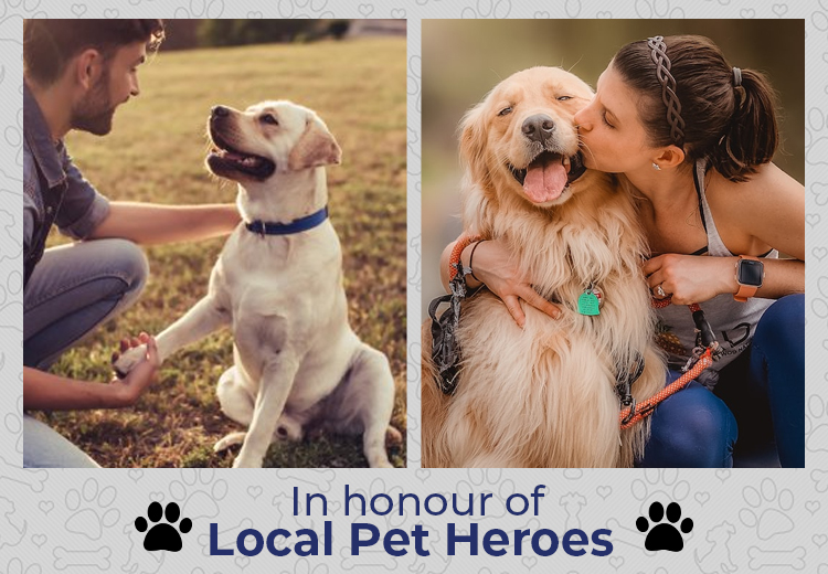In honor of Local Pet Heroes