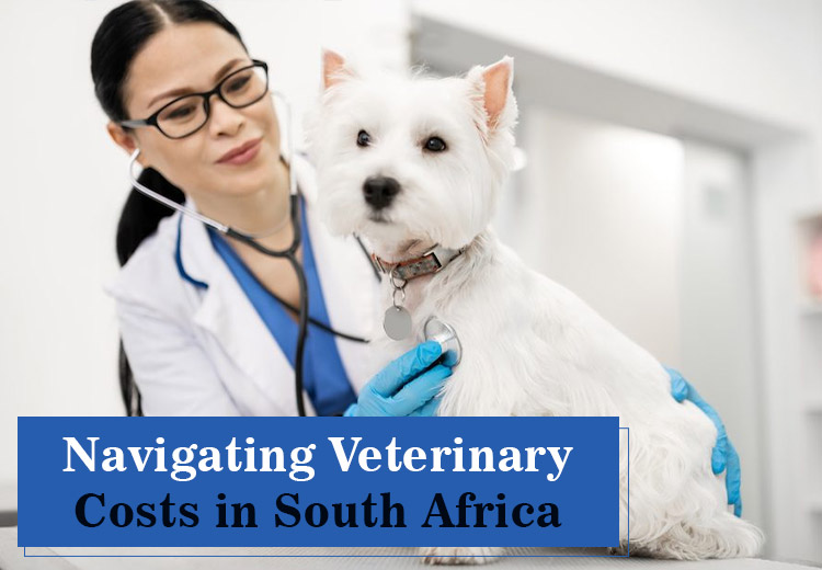 What Are the Typical Vet Costs in South Africa?