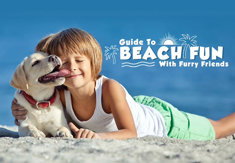 Guide to Beach Fun with Furry Friends