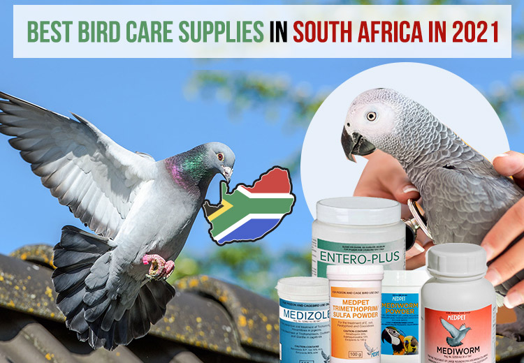 Best Dewormer, Probiotics Supliment & Bacterial Infection Treatments for Birds