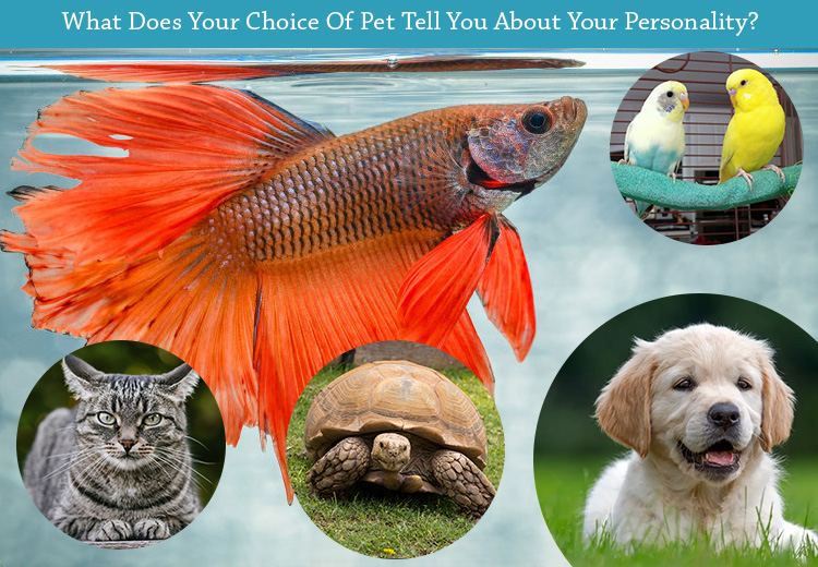 What Does Your Choice Of Pet Tell You About Your Personality?