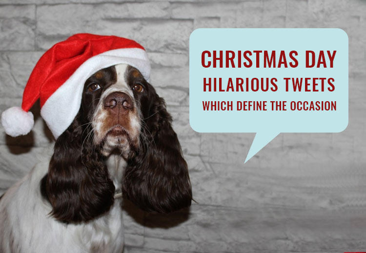 Christmas Day-Hilarious Tweets Which Define The Occasion