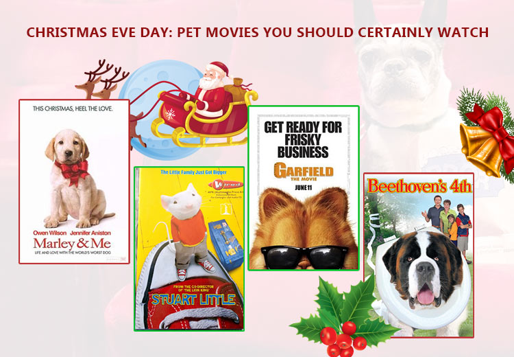 Christmas Eve Day: Pet Movies You Should Certainly Watch