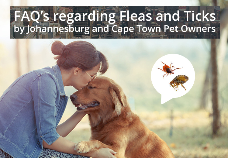 Johannesburg and Cape Town Pet Owners FAQ’s