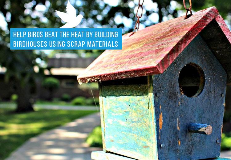 Help Birds Beat the Heat by Building Birdhouses Using Scrap Materials