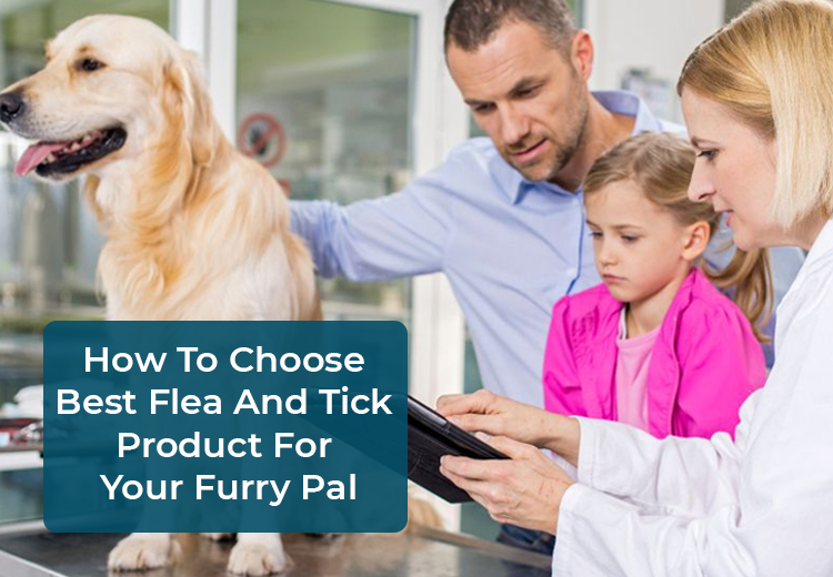 How To Choose the Best Flea And Tick Product For Your Furry Pal?