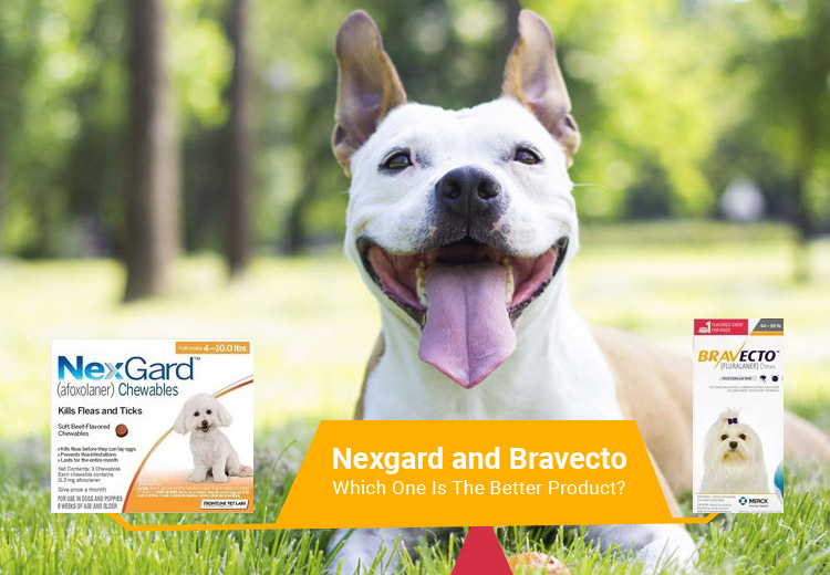 Nexgard and Bravecto: Which One Is The Better Product?