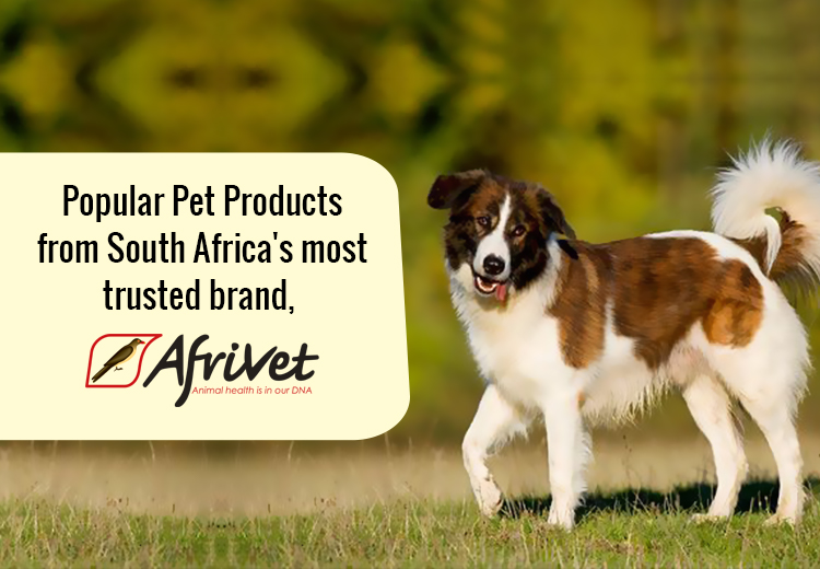 Afrtivet Products for Pets
