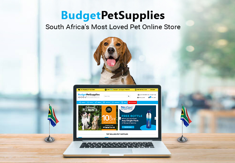 Budget Pet Supplies: South Africa's Most Loved Online Pet Supplies Store