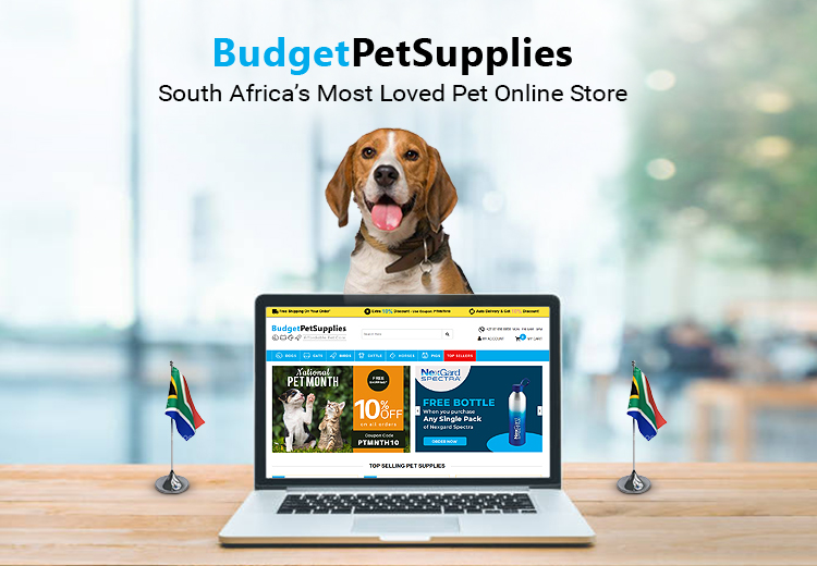 BPS-Pet-Store.jpg