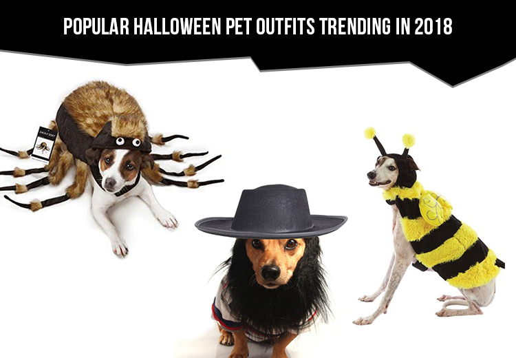 Popular Halloween Pet Outfits Trending in 2018