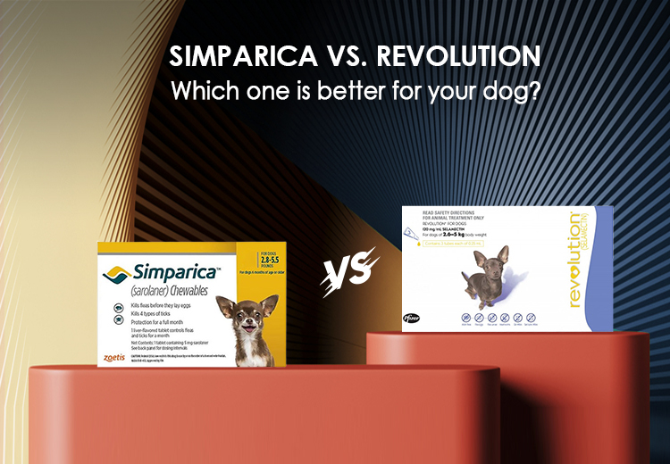 Simparica vs. Revolution Which one is better for your dog?