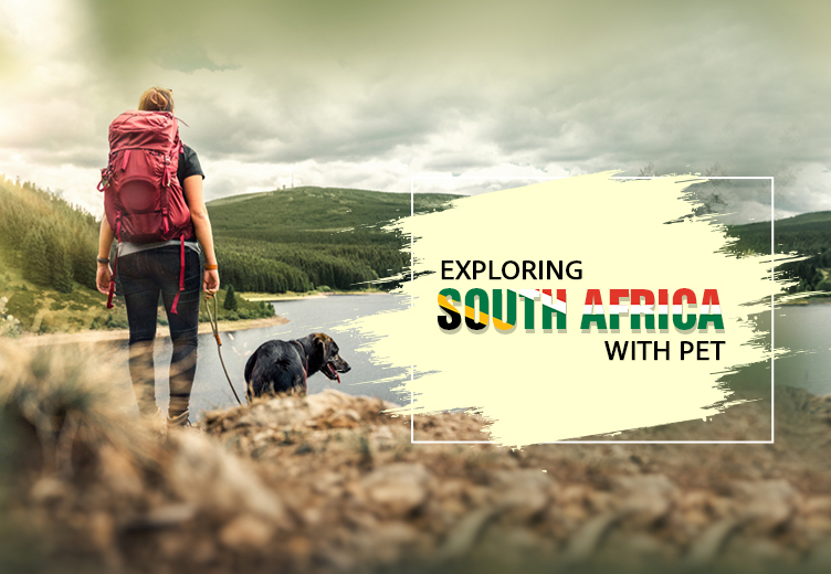 Exploring South Africa with Pet