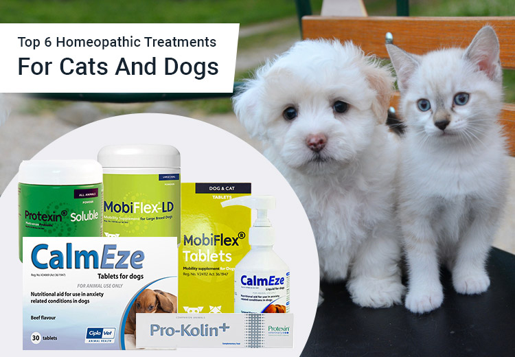 Best Homeopathic treatment For Dogs and Cats