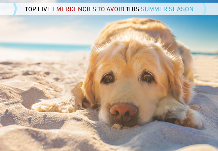 Top Five Emergencies to AVOID This Summer Season