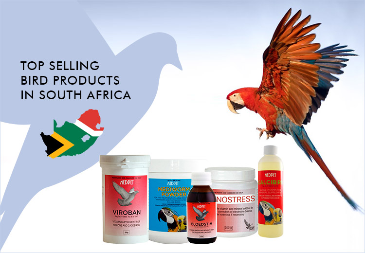 Top Selling Bird Products in South Africa