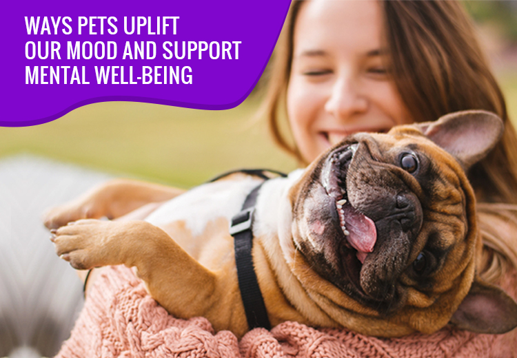 Ways Pets Uplift Our Mood and Support Mental Well-being