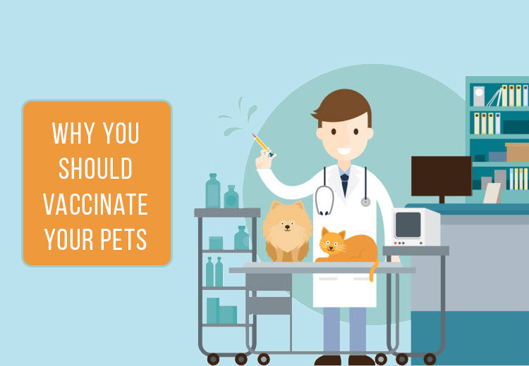 Why you Should Vaccinate your Pets