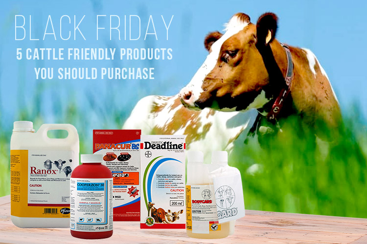 Black Friday-5 Cattle Friendly Products you should purchase