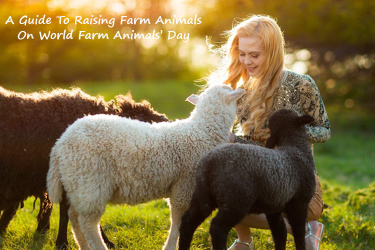 A Guide To Raising Farm Animals On World Farm Animals’ Day