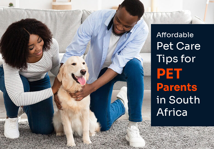 Affordable Pet Care Tips Every South African Pet Parent Should Know